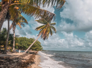 Read more about the article Belize Travel Guide